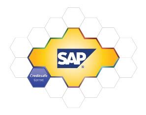 Connecting Creditsafe with SAP .